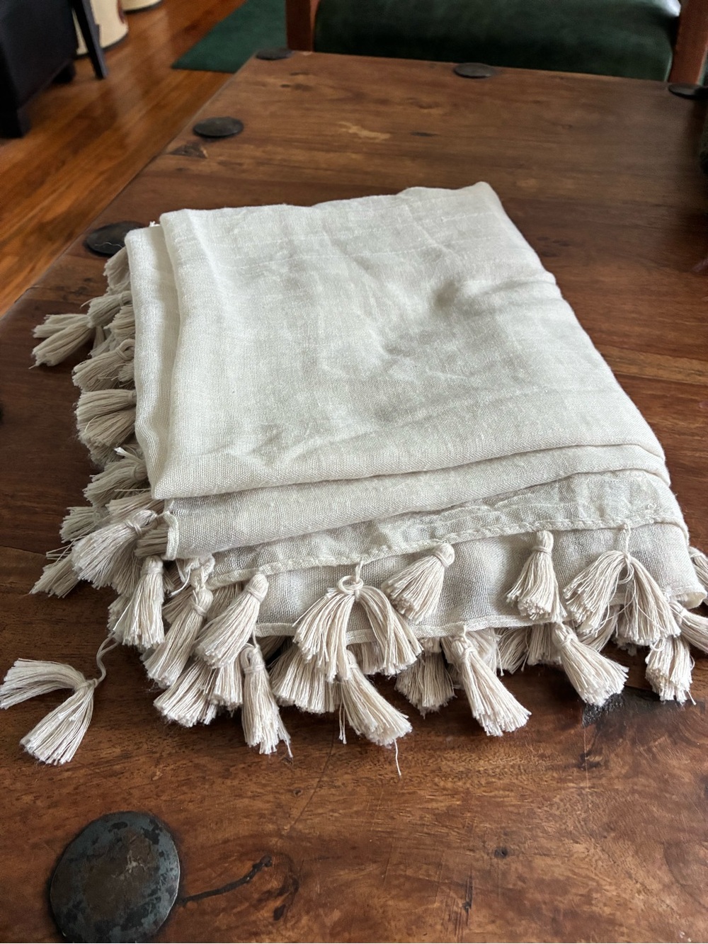 Neutral Tassel Throw Blanket